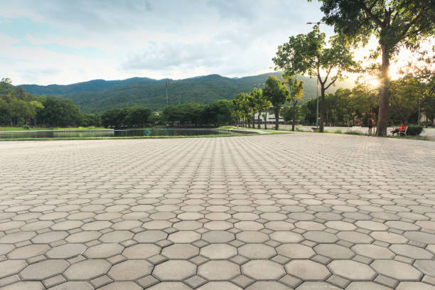 Best Decorative Driveway Pavers  in Honeyville, UT